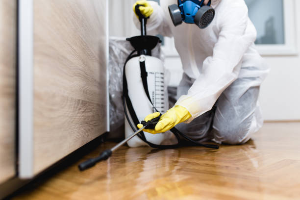 Best Pest Control Near Me  in Nelsonville, OH
