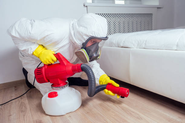 Best Local Pest Control Services  in Nelsonville, OH