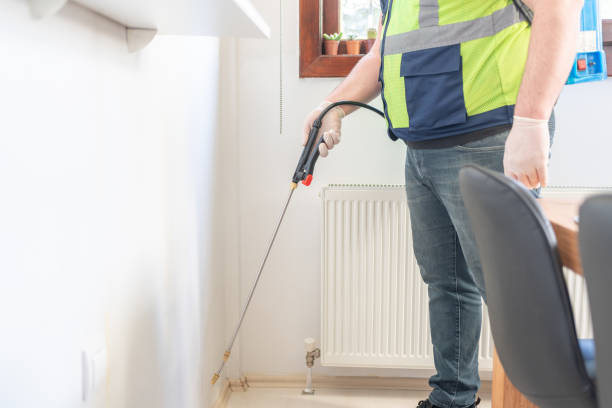 Best Affordable Pest Control Services  in Nelsonville, OH