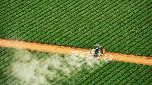 Best Ant Control Services  in Nelsonville, OH