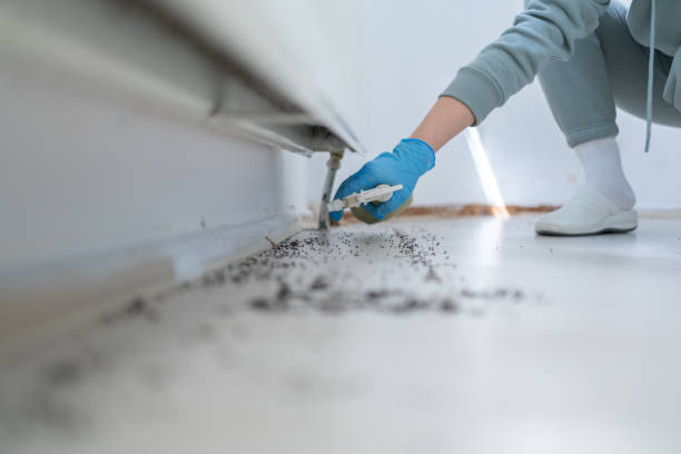 Best Affordable Exterminators  in Nelsonville, OH